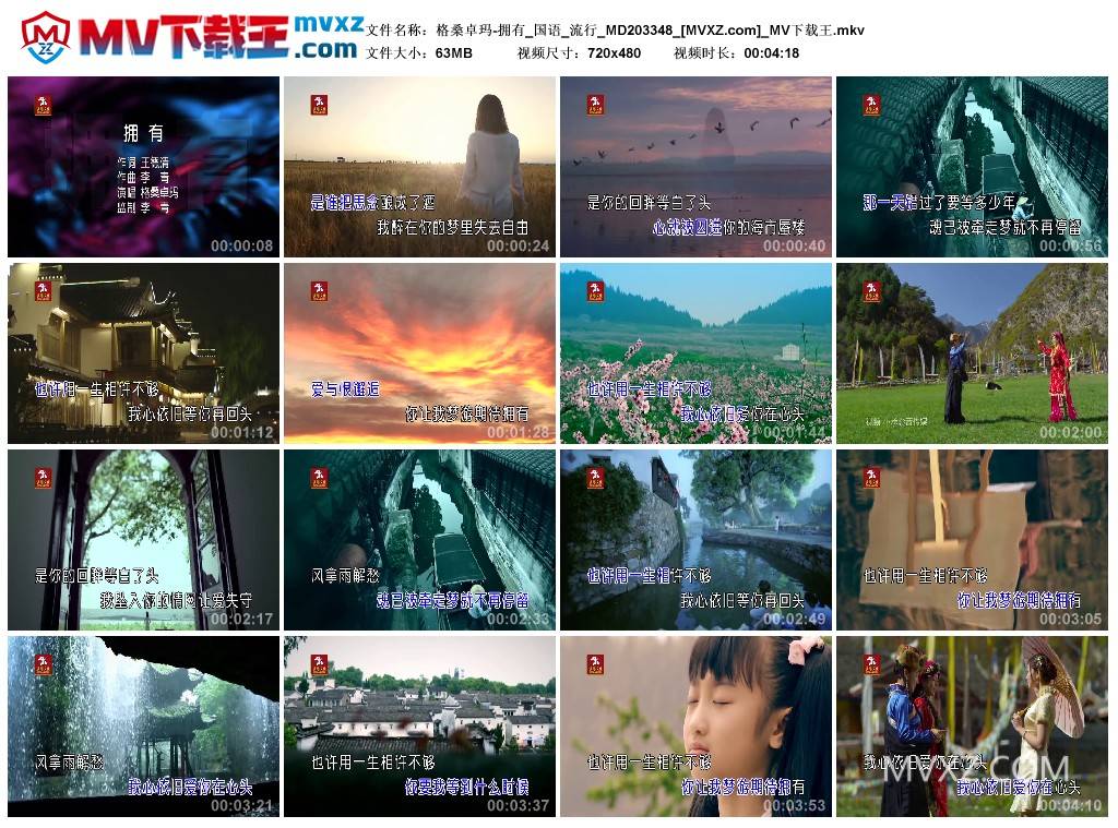 格桑卓玛-拥有_国语_流行_MD203348